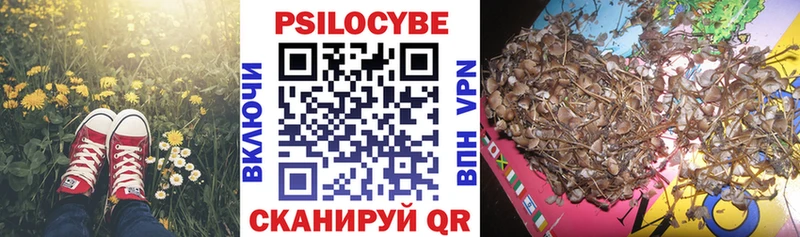 МЕГА зеркало Сим Галлюциногенные грибы GOLDEN TEACHER