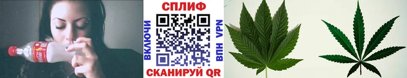 Шишки марихуана ГИДРОПОН Сим